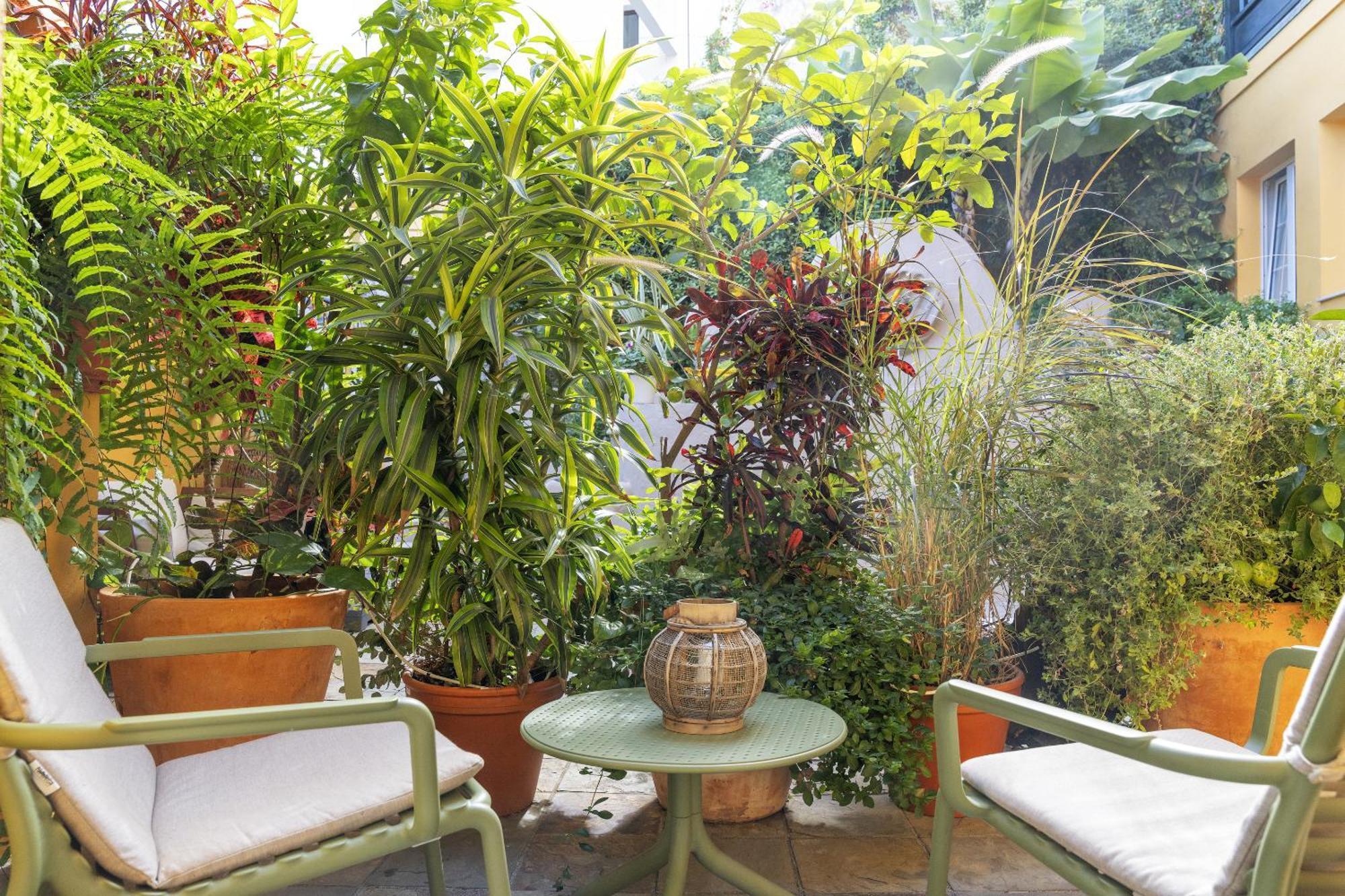 Hotel San Telmo ซานตาครูซเดลาปัลมา ภายนอก รูปภาพ